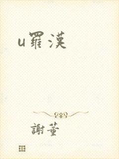 u罗汉封面