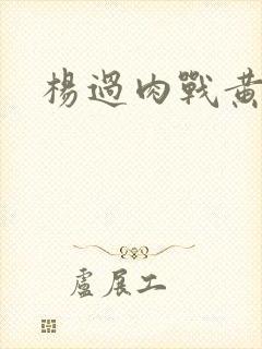 杨过肉战黄蓉