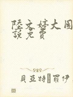 陆文婷大团圆小说免费