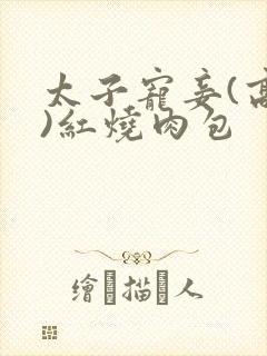 太子宠妾(高肉)红烧肉包