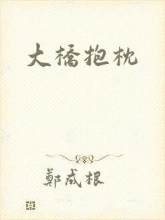 大桥抱枕