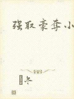 强取豪夺小说