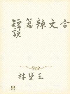 短篇辣文合集小说