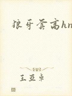 狼牙套高hnp