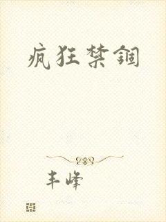 疯狂禁锢封面