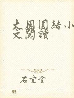 大团圆结小茹全文阅读