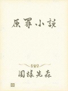 原罪小说封面