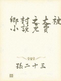 乡村之大被同眠小说免费