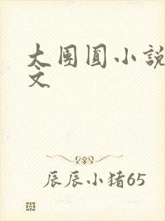 大团圆小说集全文封面
