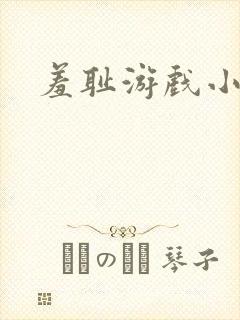 羞耻游戏小说