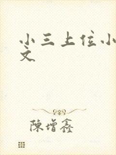 小三上位小说全文封面