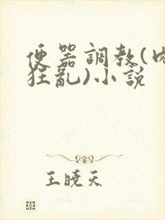 便器调教(肉体狂乱)小说封面