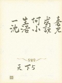 一生何求秦菲雪沈浩小说免费阅读全文封面