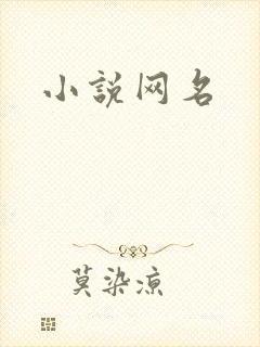 小说网名