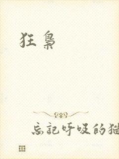 狂枭封面