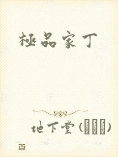 极品家丁