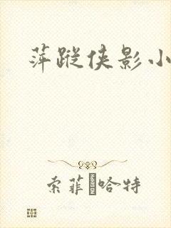 萍踪侠影小说