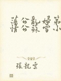 荡公乱妇第1章情公苏雪小说