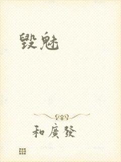 毁魅