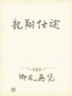 龙翔仕途