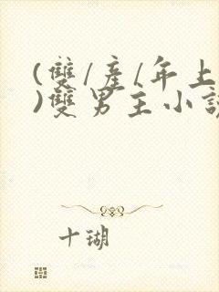(双/产/年上)双男主小说