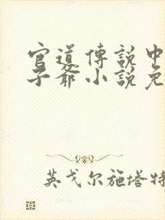 官道传说中的太子爷小说免费阅读