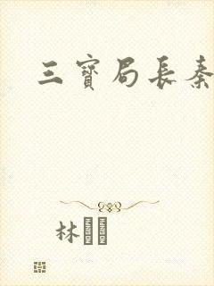 三宝局长秦守仁封面