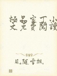 极品家丁小说全文免费阅读