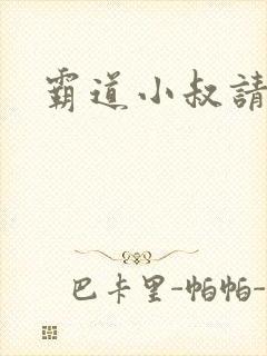 霸道小叔请轻撩