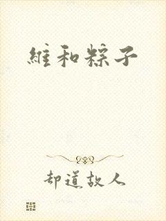 维和粽子