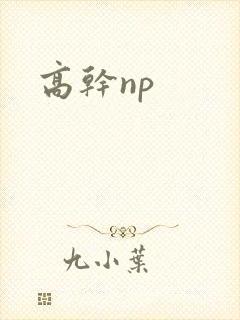 高干np
