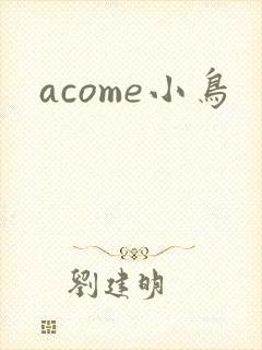 acome小鸟