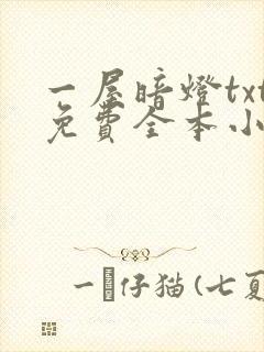 一屋暗灯txt免费全本小说电子书