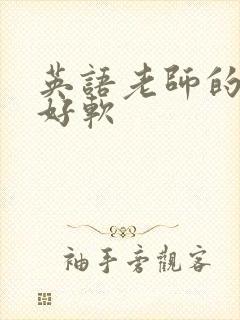 英语老师的兔子好软