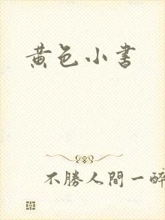 黄色小书