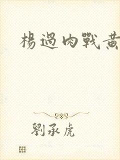 杨过肉战黄蓉