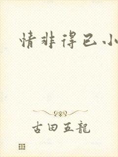 情非得已小说
