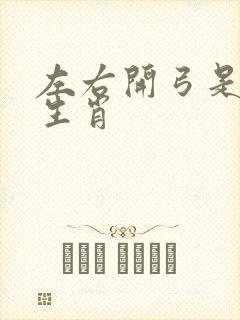 左右开弓是什么生肖
