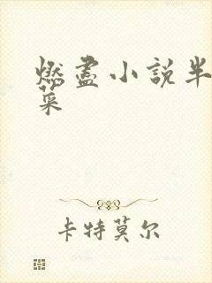 燃尽小说半截白菜