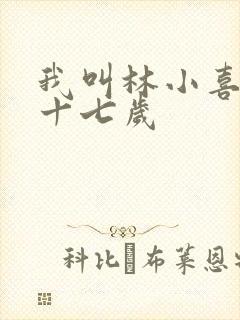 我叫林小喜今年十七岁