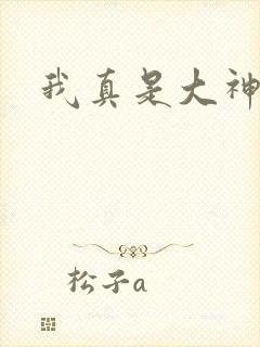 我真是大神医封面