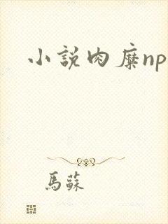 小说肉糜np封面