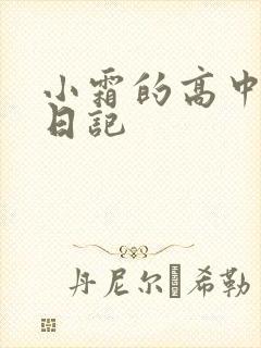 小霜的高中成长日记封面
