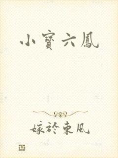小宝六凤