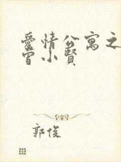 爱情公寓之极品曾小贤封面