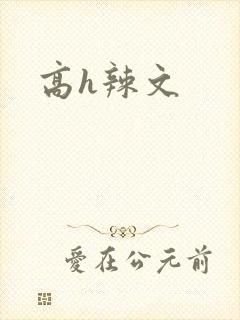 高h辣文