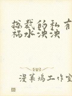 总裁的私有宝贝祸水泱泱