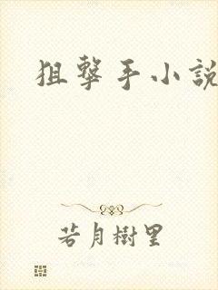 狙击手小说