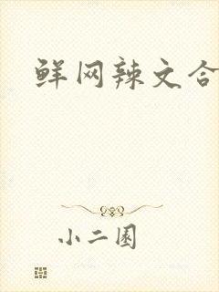 鲜网辣文合集