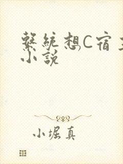 系统想C宿主的小说